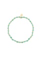 Verde Immagine8