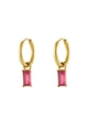 fuchsia Picture5