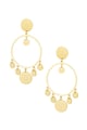 Colore oro Immagine2