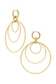 Gold color