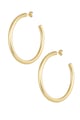 Gold color 
