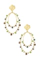 Verde Immagine2