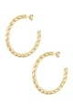Colore oro