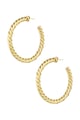 Colore oro Immagine2
