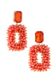 orange Picture5