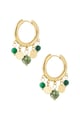 Verde Immagine2