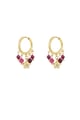 fuchsia Picture3