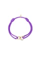 Viola Immagine3