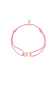 Rosa Immagine10