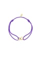 Lavanda Immagine3