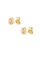Rosa Bild2