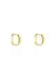 Colore oro Immagine2