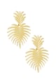 Gold color Picture2