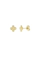 Goldfarbe Bild2