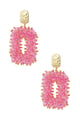 fuchsia Picture4