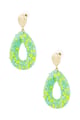 picco verde Immagine5