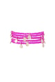 fuchsia Picture4