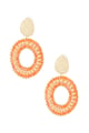 orange Picture4