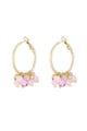 fucsia Imagen3