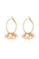 coral Imagen4