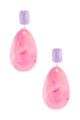 fuchsia Picture3