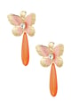 orange Picture3