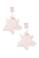 Rosa baby Immagine2