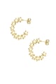 Gold color Picture2