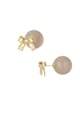 Beige Immagine3