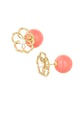 Pink Picture6