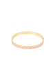 Roze Afbeelding2