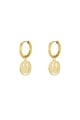 Gold color Picture2