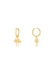 Gold color Picture2
