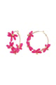 fuchsia Picture3