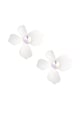 White Picture5