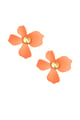 orange Picture4