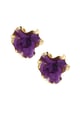 Purple Picture3
