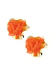 orange Picture5