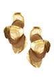Brown Picture5