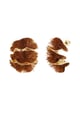 Brown Picture4