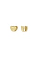 Gold color Picture2