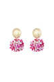 fuchsia Picture3