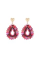 fuchsia Picture3