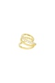 Gold color Picture2
