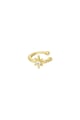 Gold color Picture2