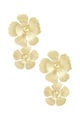 Gold color
