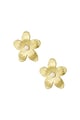 Goldfarbe Bild2