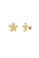Gold color 