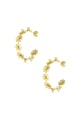 Gold color Picture2