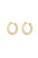 Gold color Picture3